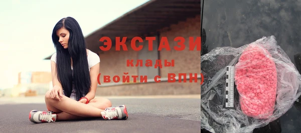 ешки Алексин