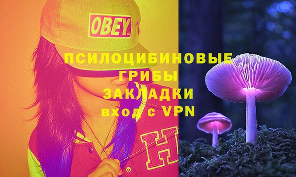 прущие грибы Алексеевка