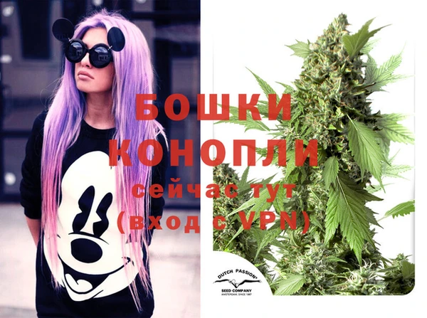 ешки Алексин
