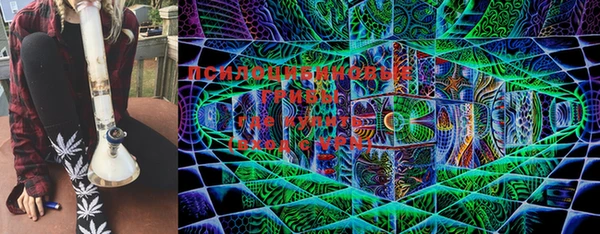 прущие грибы Алексеевка