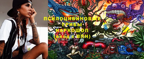 дживик Алзамай