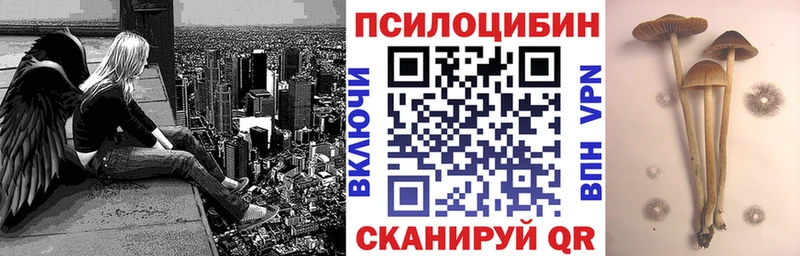 Псилоцибиновые грибы MAGIC MUSHROOMS  наркошоп  Медынь 
